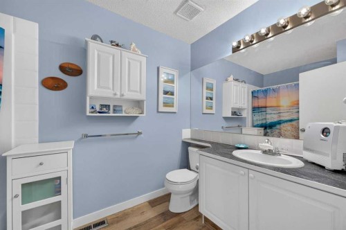 61 Somervale Point Sw, Calgary, AB - Indoor Photo Showing Bathroom