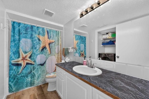 61 Somervale Point Sw, Calgary, AB - Indoor Photo Showing Bathroom