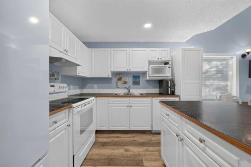 61 Somervale Point Sw, Calgary, AB - Indoor Photo Showing Kitchen With Double Sink