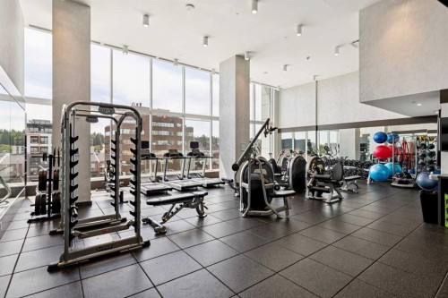602-930 16 Avenue Sw, Calgary, AB - Indoor Photo Showing Gym Room