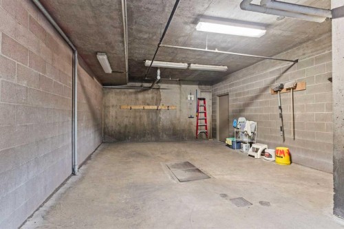 113-60 Sierra Morena Landing Sw, Calgary, AB - Indoor Photo Showing Garage
