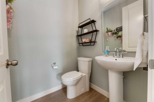 439 Canals Boulevard Sw, Airdrie, AB - Indoor Photo Showing Bathroom