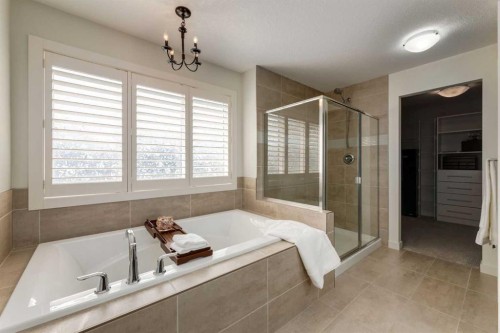 439 Canals Boulevard Sw, Airdrie, AB - Indoor Photo Showing Bathroom