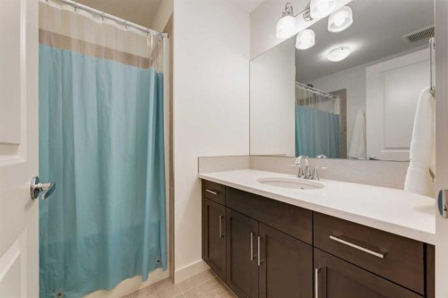 439 Canals Boulevard Sw, Airdrie, AB - Indoor Photo Showing Bathroom