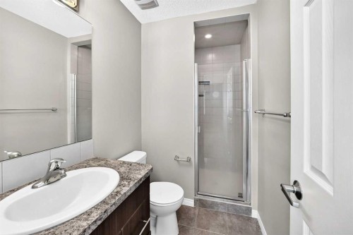 12 Cityscape Row Ne, Calgary, AB - Indoor Photo Showing Bathroom