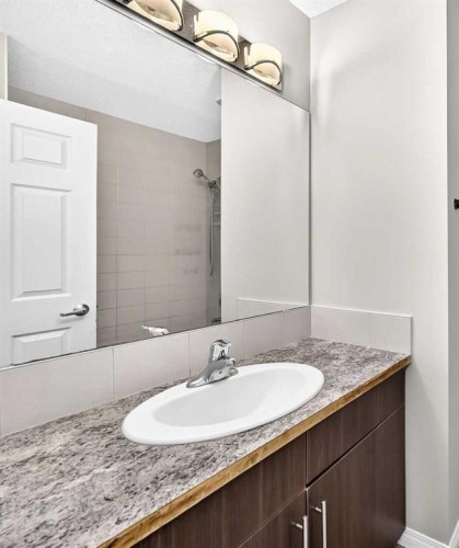 12 Cityscape Row Ne, Calgary, AB - Indoor Photo Showing Bathroom