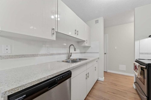 602-8948 Elbow Drive Sw, Calgary, AB - Indoor Photo Showing Kitchen With Double Sink
