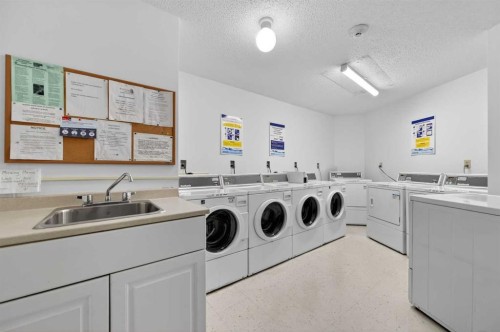 602-8948 Elbow Drive Sw, Calgary, AB - Indoor Photo Showing Laundry Room