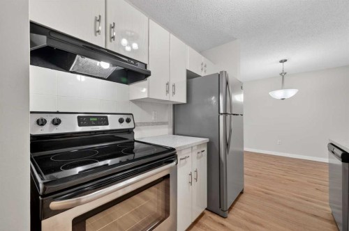 602-8948 Elbow Drive Sw, Calgary, AB - Indoor Photo Showing Kitchen