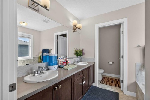45 Saddlestone Drive Ne, Calgary, AB - Indoor Photo Showing Bathroom