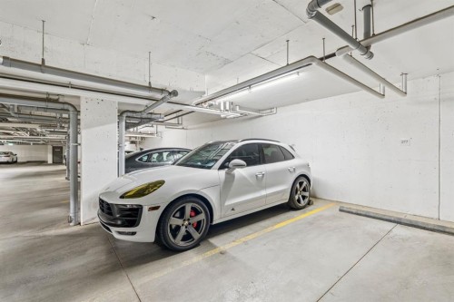 316-19661 40 Street Se, Calgary, AB - Indoor Photo Showing Garage