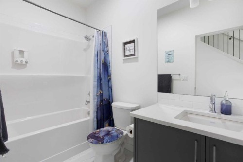 91 Copperhead Grove Se, Calgary, AB - Indoor Photo Showing Bathroom