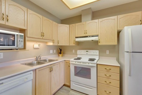3109-3109 Hawksbrow Point Nw, Calgary, AB - Indoor Photo Showing Kitchen With Double Sink