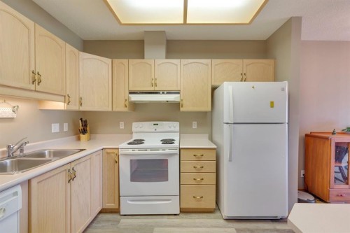 3109-3109 Hawksbrow Point Nw, Calgary, AB - Indoor Photo Showing Kitchen With Double Sink
