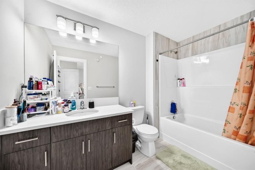 129 Calhoun Common Ne, Calgary, AB - Indoor Photo Showing Bathroom
