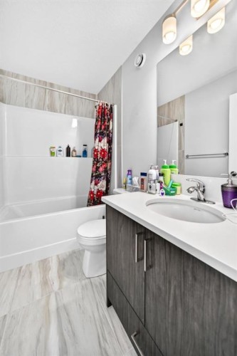 129 Calhoun Common Ne, Calgary, AB - Indoor Photo Showing Bathroom