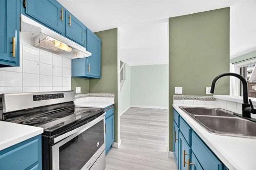1-208 Grier Terrace Ne, Calgary, AB - Indoor Photo Showing Kitchen With Double Sink
