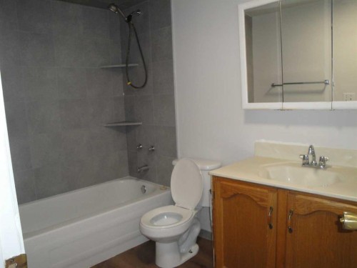 31 Huntford Road Ne, Calgary, AB - Indoor Photo Showing Bathroom