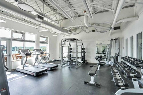35 Cottageclub Lane, Rural Rocky View County, AB - Indoor Photo Showing Gym Room