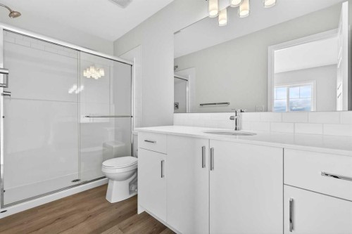 206-28 Red Embers Plaza Ne, Calgary, AB - Indoor Photo Showing Bathroom