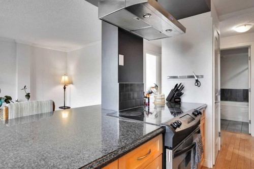 302-1225 15 Avenue Sw, Calgary, AB - Indoor Photo Showing Kitchen