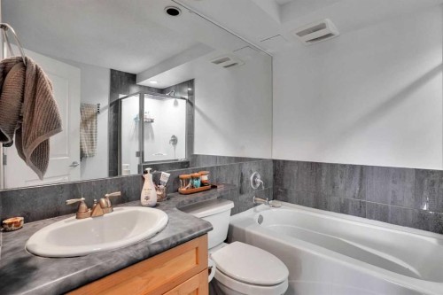 302-1225 15 Avenue Sw, Calgary, AB - Indoor Photo Showing Bathroom