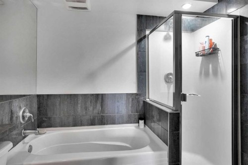 302-1225 15 Avenue Sw, Calgary, AB - Indoor Photo Showing Bathroom