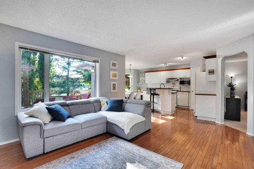 11 Mckenzie Lake View Se, Calgary, AB - Indoor Photo Showing Living Room
