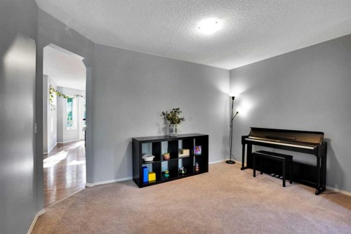 11 Mckenzie Lake View Se, Calgary, AB - Indoor Photo Showing Other Room