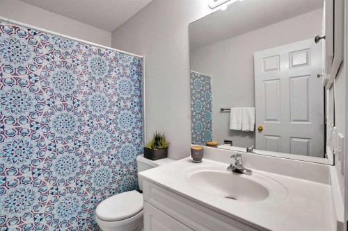 11 Mckenzie Lake View Se, Calgary, AB - Indoor Photo Showing Bathroom