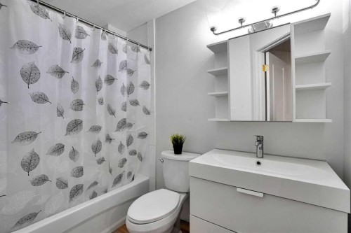 11 Mckenzie Lake View Se, Calgary, AB - Indoor Photo Showing Bathroom