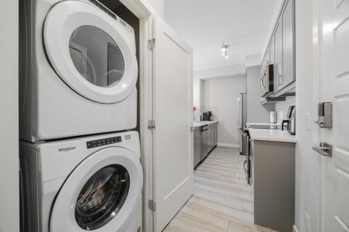 315-100 Auburn Meadows Manor Se, Calgary, AB - Indoor Photo Showing Laundry Room