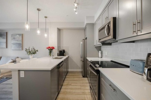 315-100 Auburn Meadows Manor Se, Calgary, AB - Indoor Photo Showing Kitchen With Upgraded Kitchen
