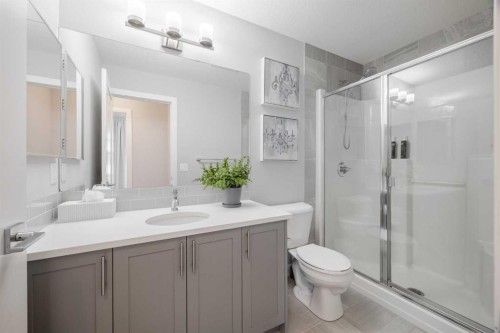315-100 Auburn Meadows Manor Se, Calgary, AB - Indoor Photo Showing Bathroom