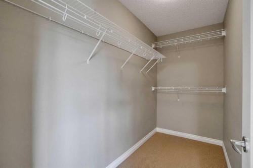 249 Springmere Way, Chestermere, AB - Indoor With Storage