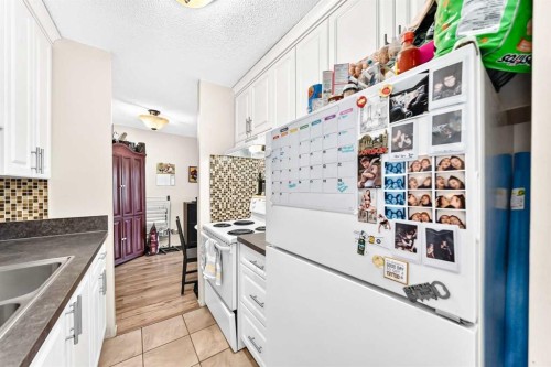 407-903 19 Avenue Sw, Calgary, AB - Indoor Photo Showing Kitchen