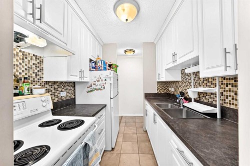 407-903 19 Avenue Sw, Calgary, AB - Indoor Photo Showing Kitchen