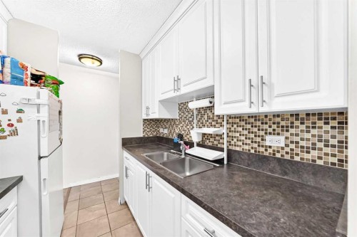 407-903 19 Avenue Sw, Calgary, AB - Indoor Photo Showing Kitchen With Double Sink