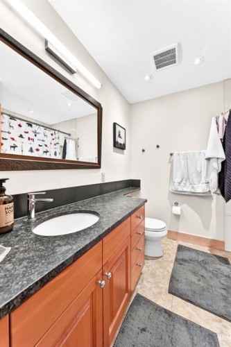1009 15 Street, Canmore, AB - Indoor Photo Showing Bathroom