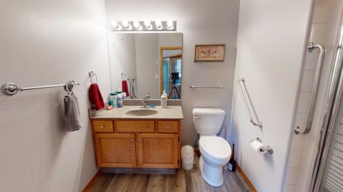 38323 Range Road 282, Rural Red Deer County, AB - Indoor Photo Showing Bathroom