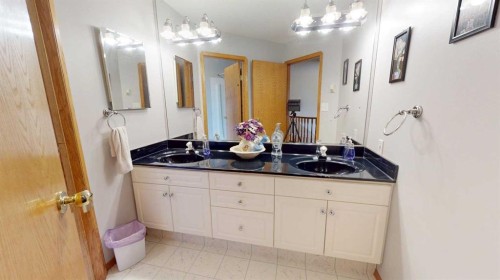 38323 Range Road 282, Rural Red Deer County, AB - Indoor Photo Showing Bathroom