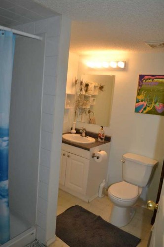102 Citadel Mesa Close, Calgary, AB - Indoor Photo Showing Bathroom