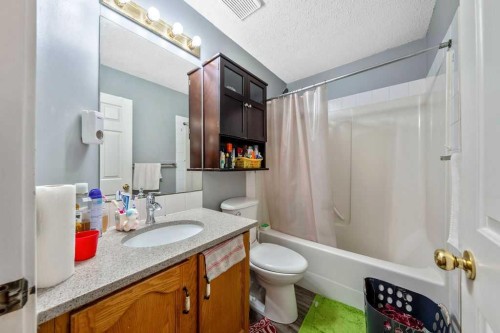 318 Applewood Drive Se, Calgary, AB - Indoor Photo Showing Bathroom