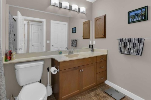 44 Ravenslea Crescent Se, Airdrie, AB - Indoor Photo Showing Bathroom
