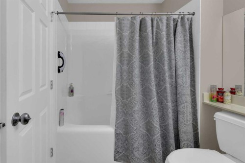 44 Ravenslea Crescent Se, Airdrie, AB - Indoor Photo Showing Bathroom
