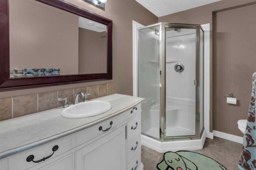 44 Ravenslea Crescent Se, Airdrie, AB - Indoor Photo Showing Bathroom