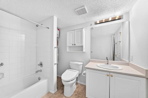 3425-3000 Millrise Point Sw, Calgary, AB - Indoor Photo Showing Bathroom