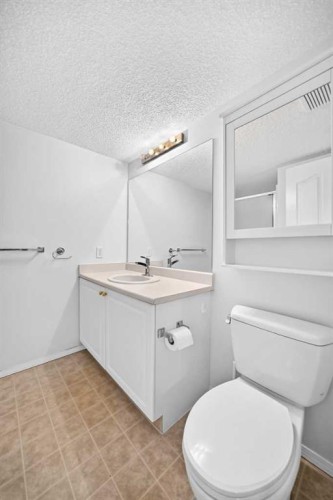3425-3000 Millrise Point Sw, Calgary, AB - Indoor Photo Showing Bathroom