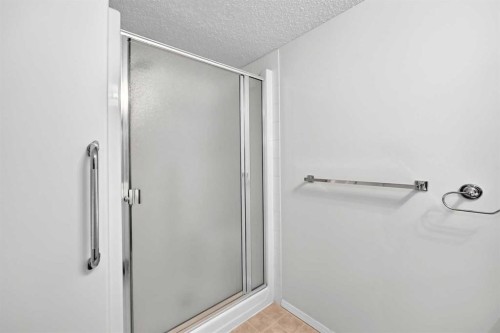 3425-3000 Millrise Point Sw, Calgary, AB - Indoor Photo Showing Bathroom
