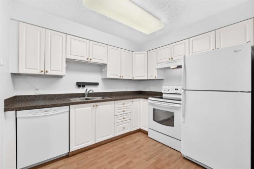3425-3000 Millrise Point Sw, Calgary, AB - Indoor Photo Showing Kitchen With Double Sink